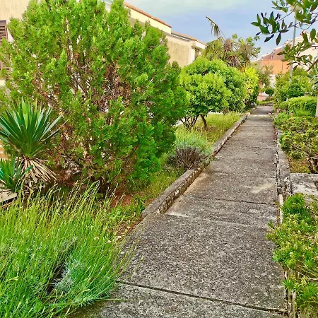 Lavandula Labin (Istria)