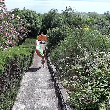 Lavandula Apartmán Labin (Istria)