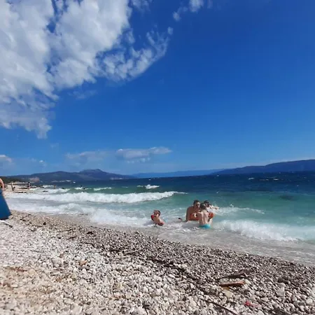 Lavandula * Labin (Istria)