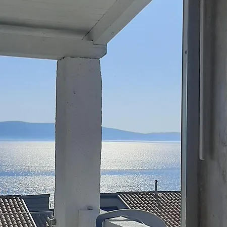 Lavandula Labin (Istria)