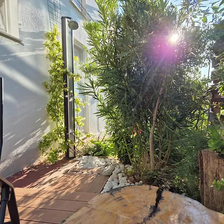 Lavandula Labin (Istria)