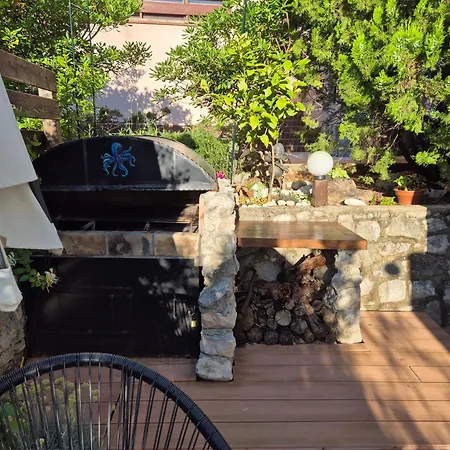 Lavandula * Labin (Istria)