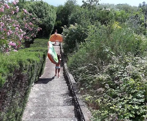 Lavandula 아파트 라빈