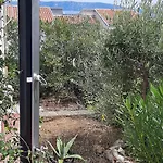 Lavandula לאבין