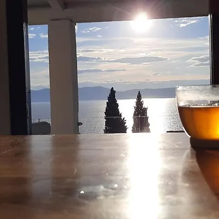 Lavandula * Labin (Istria)