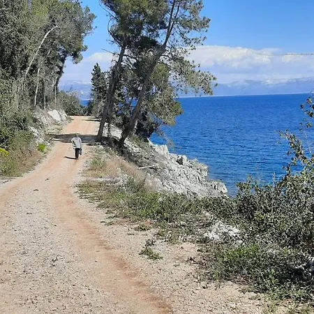 Lavandula Labin (Istria)