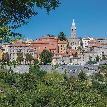 Lavandula * Labin (Istria)