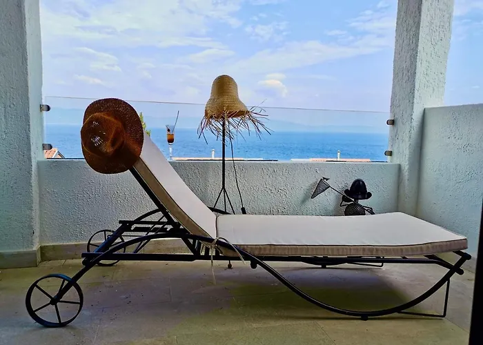 Lavandula * Labin (Istria)