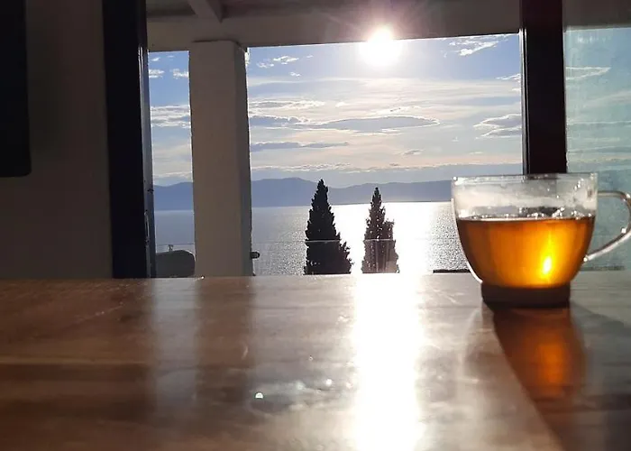 Lavandula * Labin (Istria)