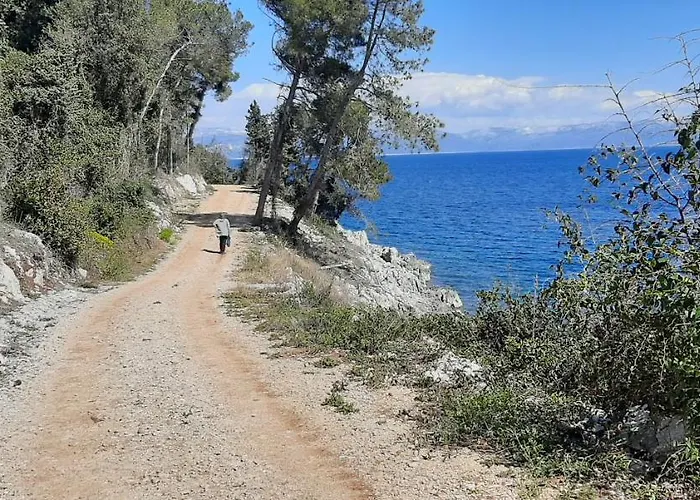 Lavandula Labin (Istria)