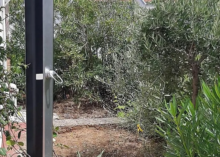 Lavandula Labin (Istria)