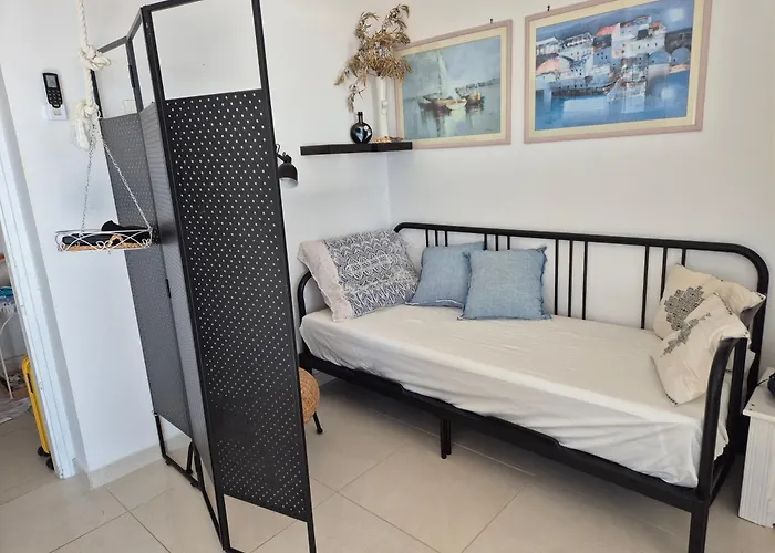 Lavandula Daire Labin (Istria)