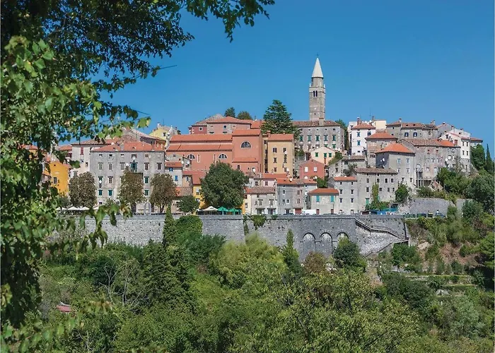 Lavandula * Labin (Istria)